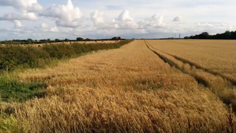 Preston New Road Action Group